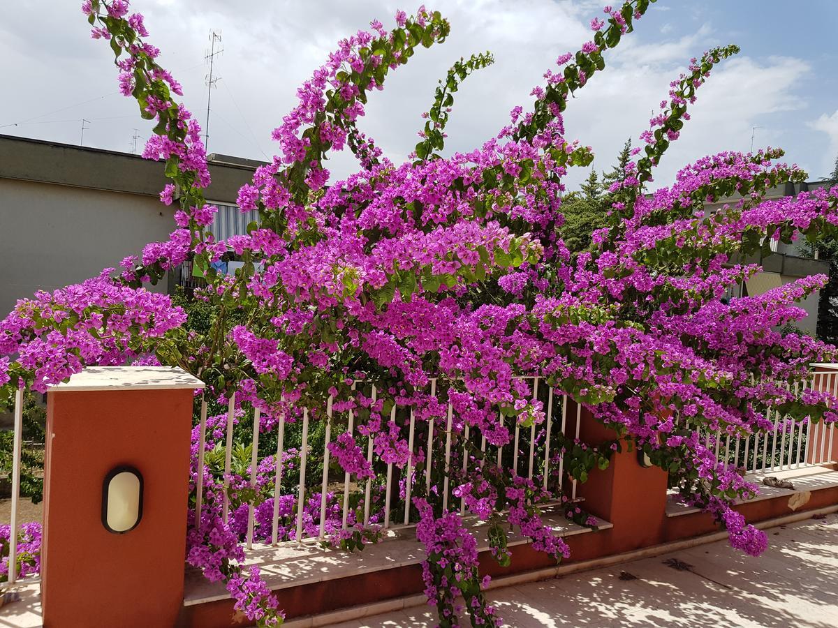 Dimora D'Amato Bed & Breakfast Grumo Appula Eksteriør bilde
